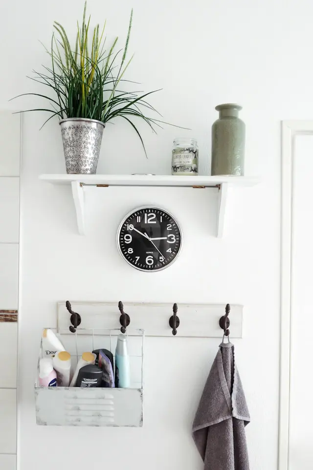 Bathroom shelf in an RV featuring a clock, plant, and toiletries neatly organized