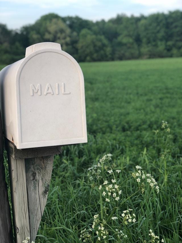 A standalone mailbox in a rural setting with wildflowers and a lush green field in the background, symbolizing the simplicity and peace of receiving mail while embracing the RV lifestyle.