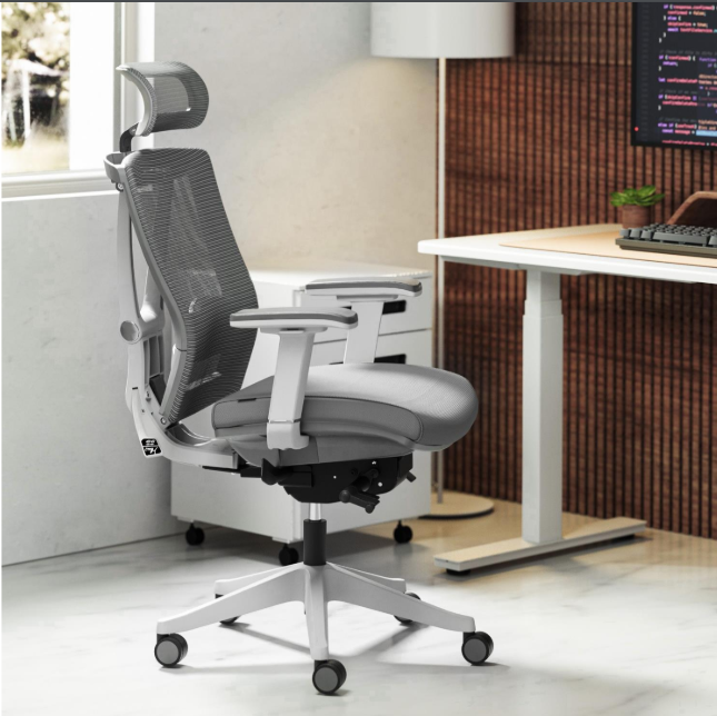 Modern ergonomic ErgoChair Pro by Autonomous office chair with adjustable headrest and lumbar support, designed to alleviate back pain.