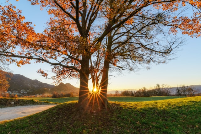 A serene scene of a sunrise, symbolizing a fresh start after a good night’s sleep.