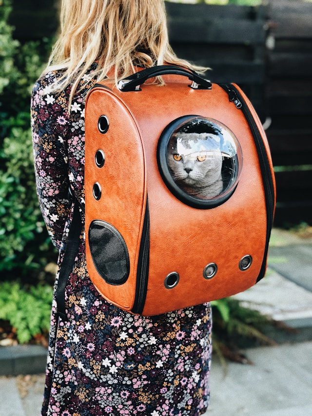 A cat owner walking with her cat in her newest piece of cat travel gear, a traveling cat backpack