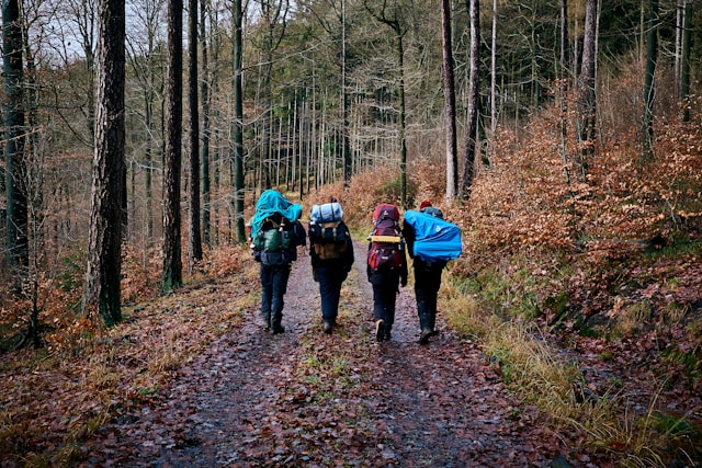 Group of backpackers hiking through a forest, an experience often described in books about backpacking.