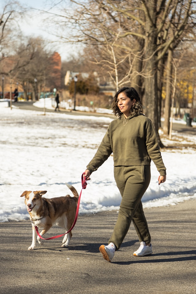 A woman walking her dog in a park during winter, with snow on the ground and trees in the background.