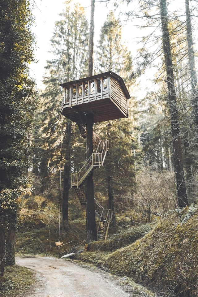 Elevated treehouse with a platform and windows, showcasing a sturdy design among tall trees.