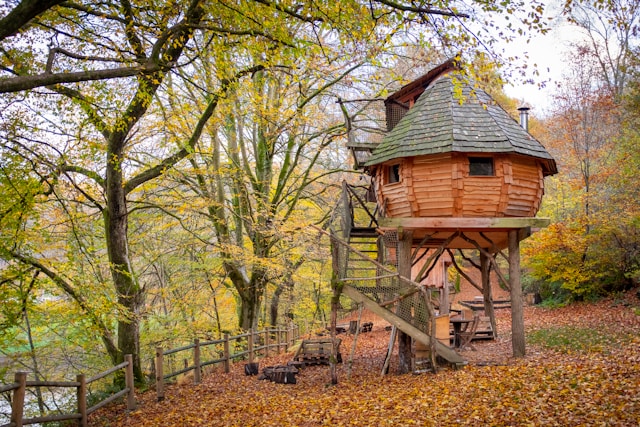 Round treehouse with a conical roof and stairs, nestled in an autumn forest.