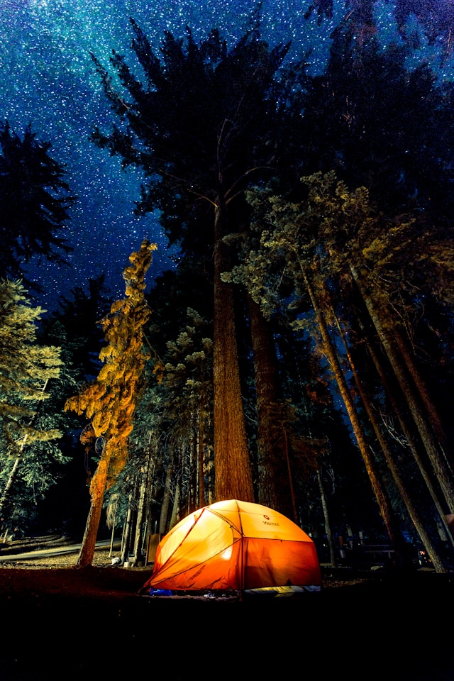 A bright orange camping tent under a starry night sky in a forest.