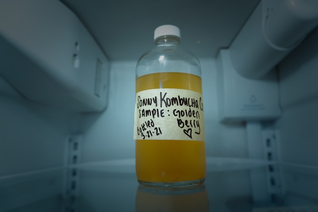 Bottle of golden berry kombucha SCOBY starter labeled and stored in a refrigerator