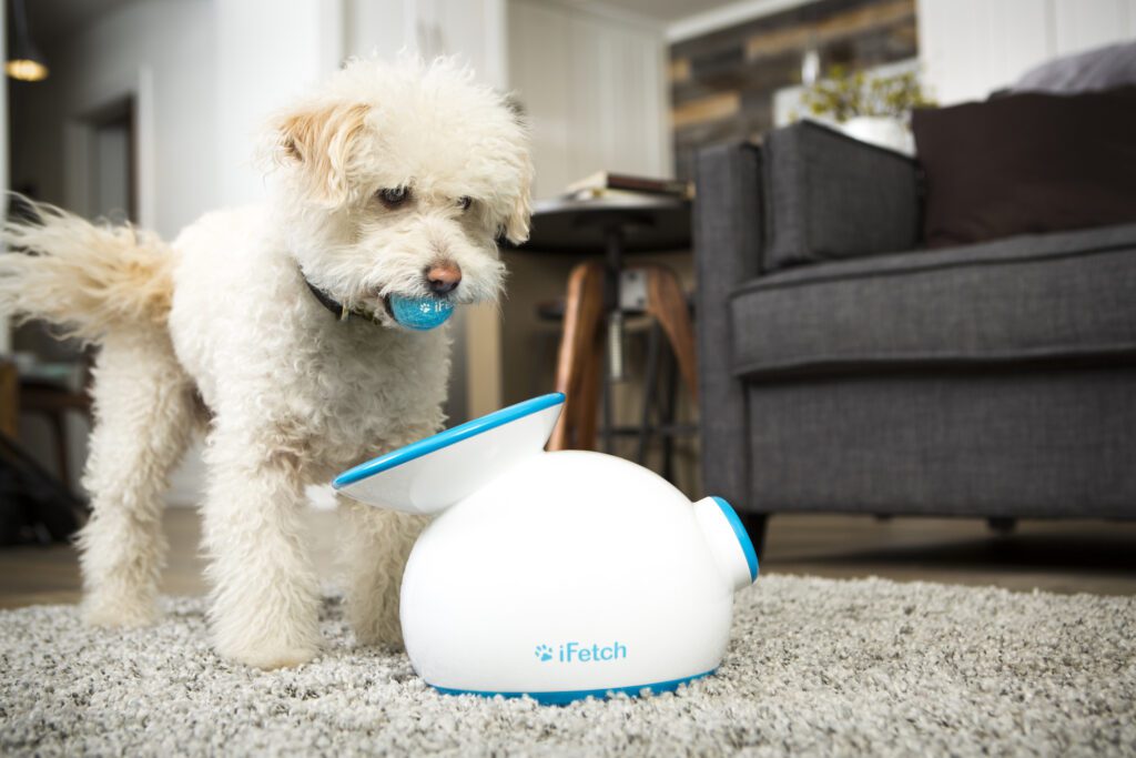 Dog using iFetch interactive ball launcher indoors