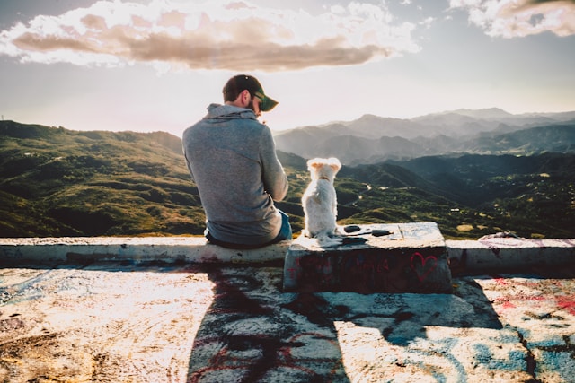 A man sitting with his dog overlooking a scenic mountain landscape