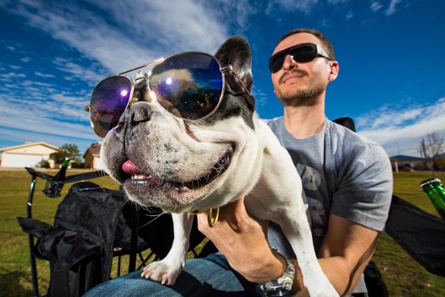 A man holding an emotional support dog, both wearing sunglasses and enjoying a sunny day outdoors