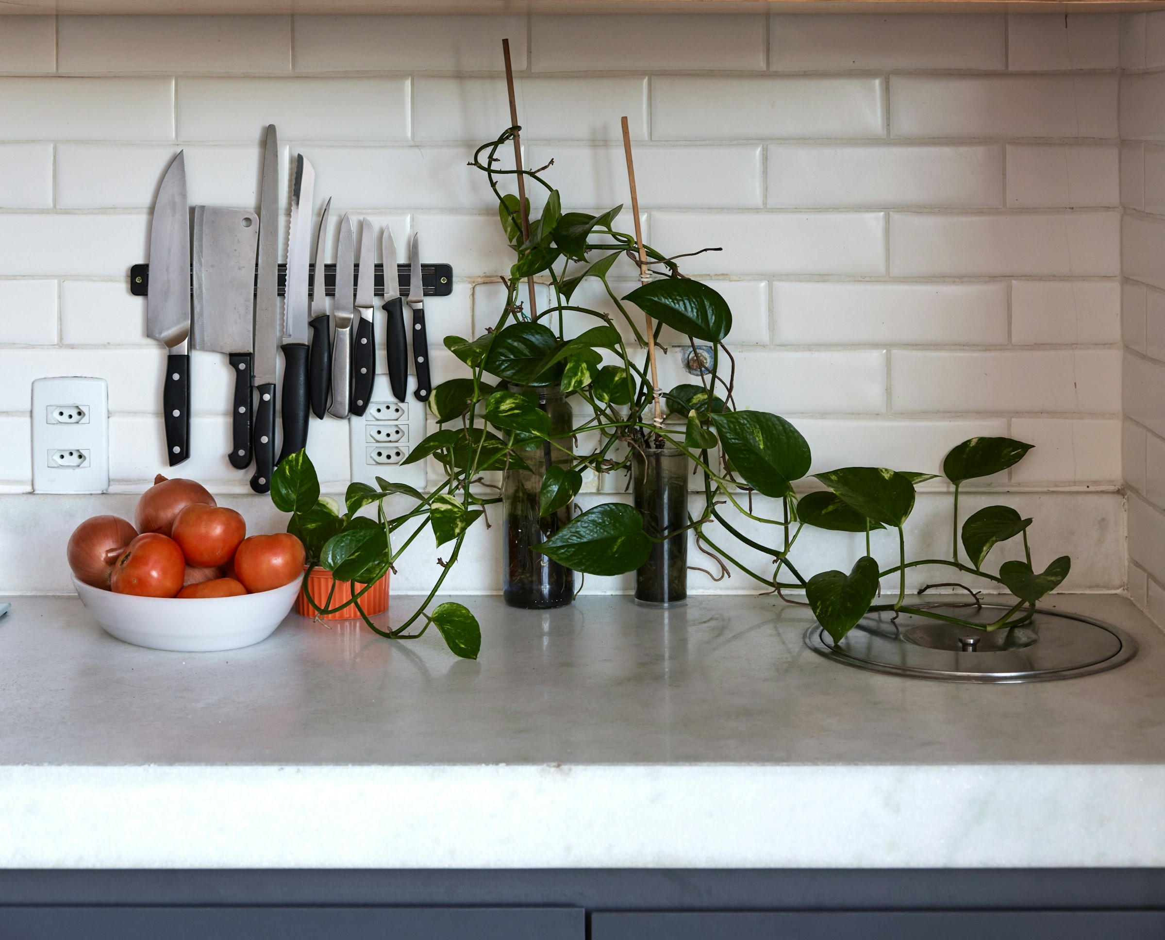 RV kitchen counter with a magnetic knife holder, a bowl of tomatoes, and a plant creating a tidy and green space