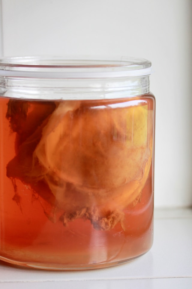 Close-up of a SCOBY in a glass jar 