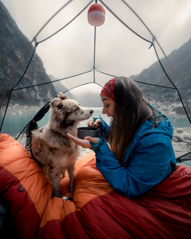 Woman feeding her dog in a tent beside a serene lake, showcasing a bonding moment in a dramatic natural setting.