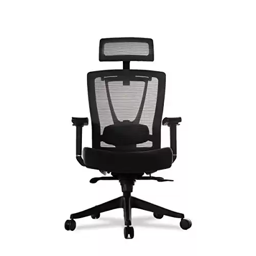 Autonomous Premium Ergonomic Office Chair for Computer or Gaming, with Wheels, Lumbar Support, Adjustable Seat, Headrest, and Armrests, Mesh Back, Medium, Full Black