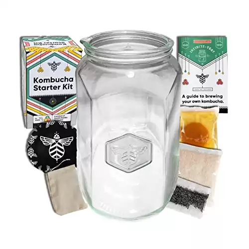 Craft A Brew Home Brewing Starter Kit Kombucha Tea Starter Kit Home Kombucha Kit Fermentation Starter with Kombucha SCOBY 1 Gallon