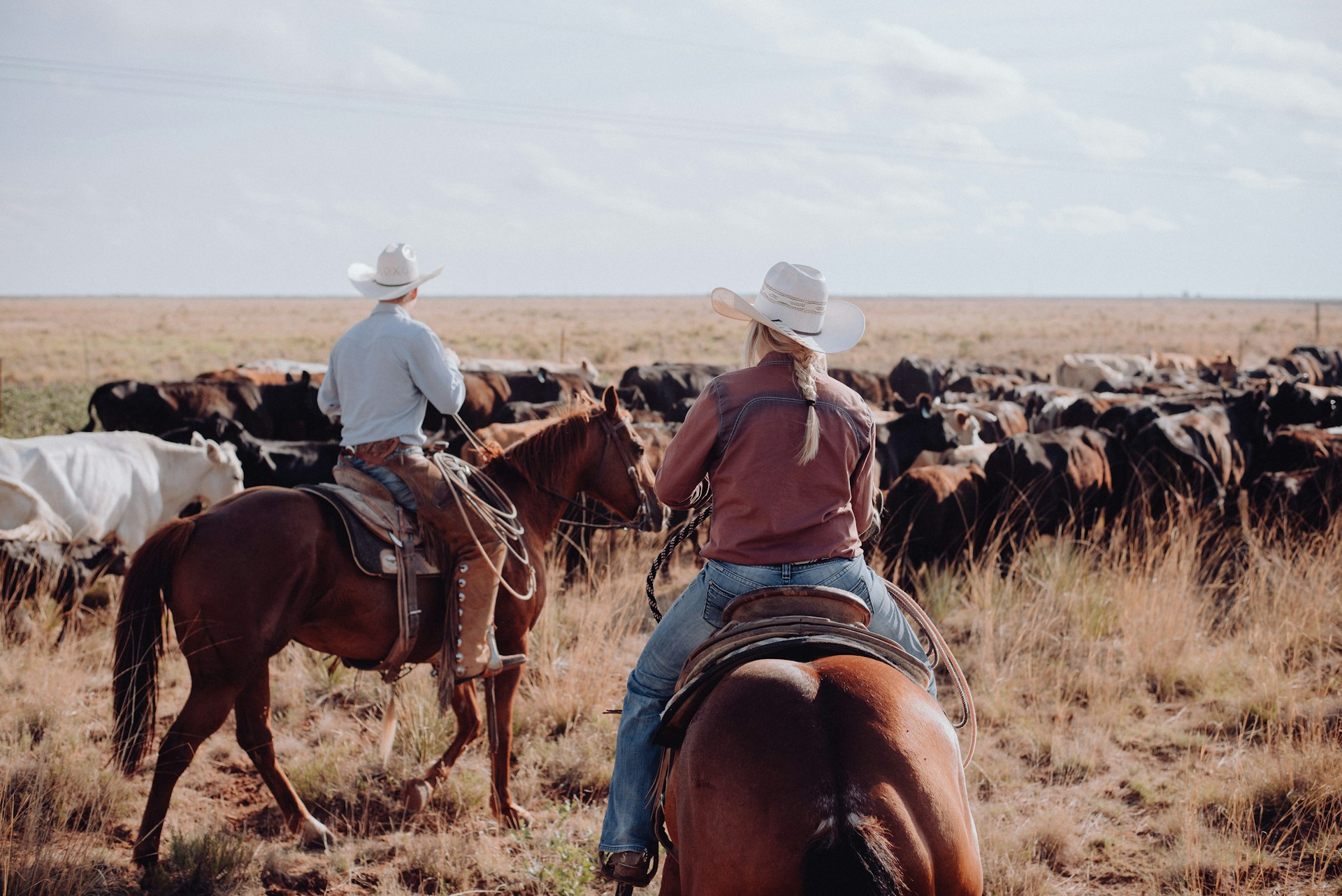 Best Dude Ranches in Montana: Saddle Up for an Unforgettable Trip