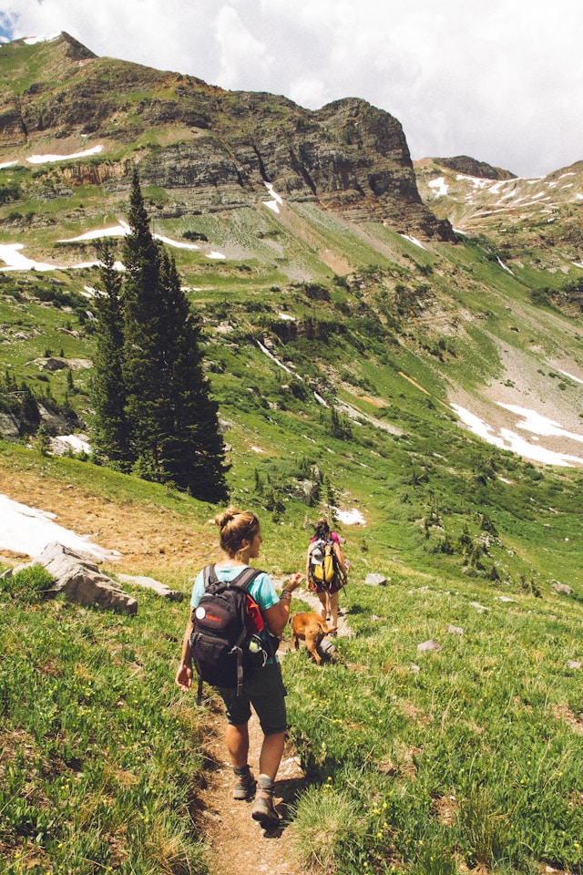 Two hikers with dogs walking on a mountain trail, surrounded by lush greenery and mountainous backdrop.