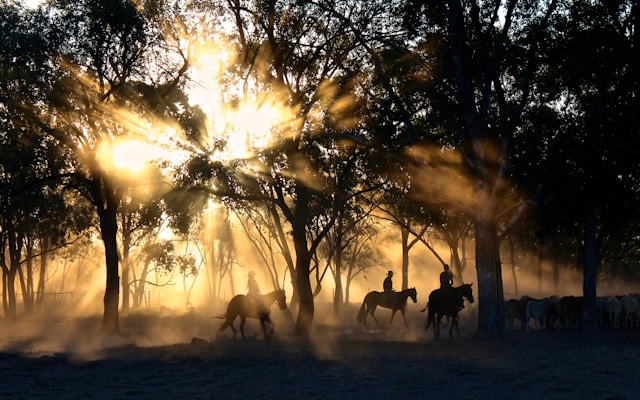 Horse riders moving through a dusty landscape with a dramatic sunrise filtering through the trees, creating a mystical ambiance.