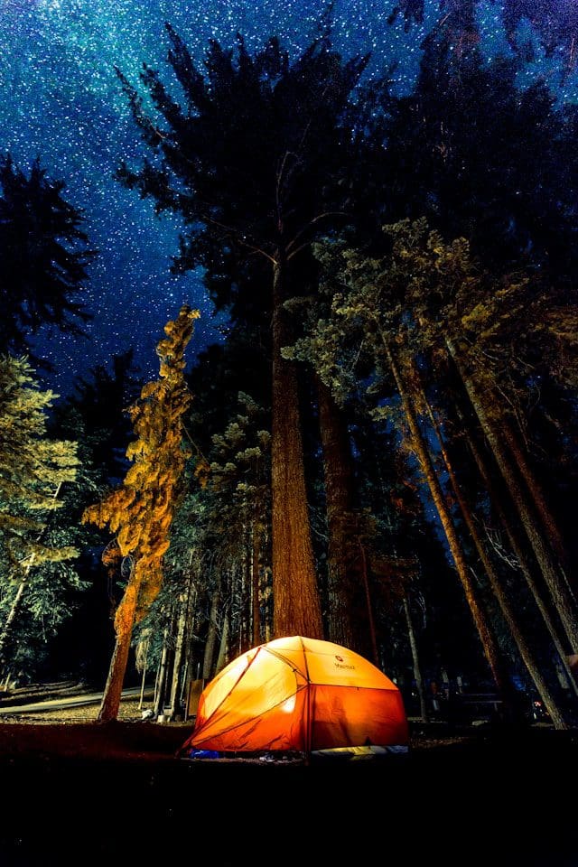 A glowing orange tent set up in a forest under a starry night sky.