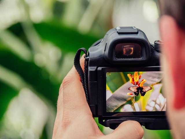 A photographer capturing a vibrant butterfly on a colorful flower through a digital camera, highlighting details and natural beauty in a lush garden setting.