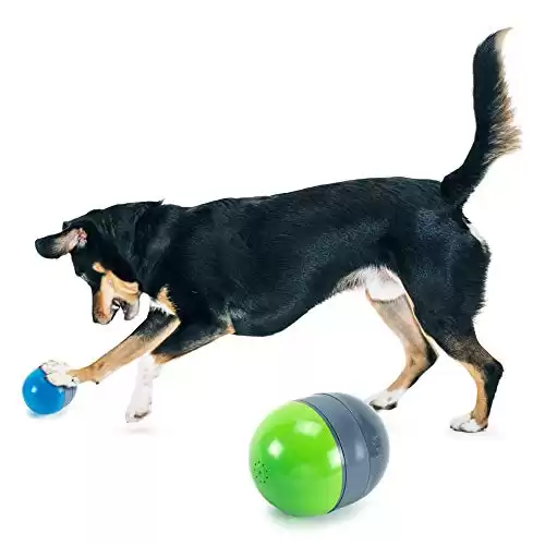 PetSafe Ricochet - Electronic Squeaking Dog Toy - 2 Paired Toys Squeak to Keep Dogs Busy - Engaging Puzzle for Bored, Anxious or Energetic Pets