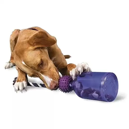 PetSafe Busy Buddy Tug-A-Jug - Treat-Dispensing Dog Toy - Slow Down Eating - 2 Cup Capacity - Lower Separation Anxiety - Cleans Teeth - Easy to Wash - Multi-Sensory Stimulation - Purple, M/L