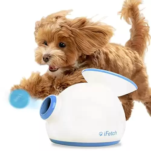 iFetch Automatic Dog Ball Launcher for Small to Medium Dogs, Indoor/Outdoor Dog Toy Thrower, Includes 3 Mini Tennis Balls