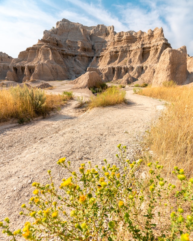 Trail leading through the sharply eroded buttes covered with sparse vegetation in Badlands National Park during the daytime.