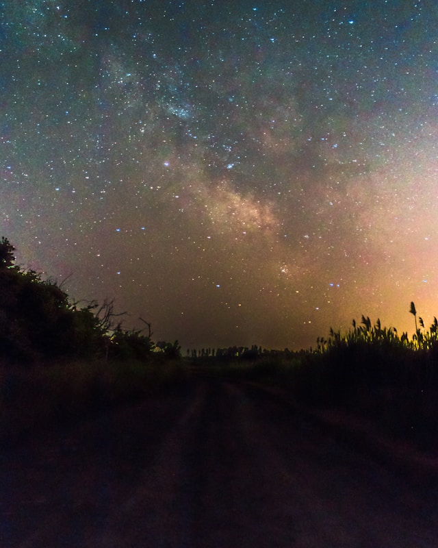 A rural dirt road under a star-filled sky, showcasing the Milky Way in a clear night setting.