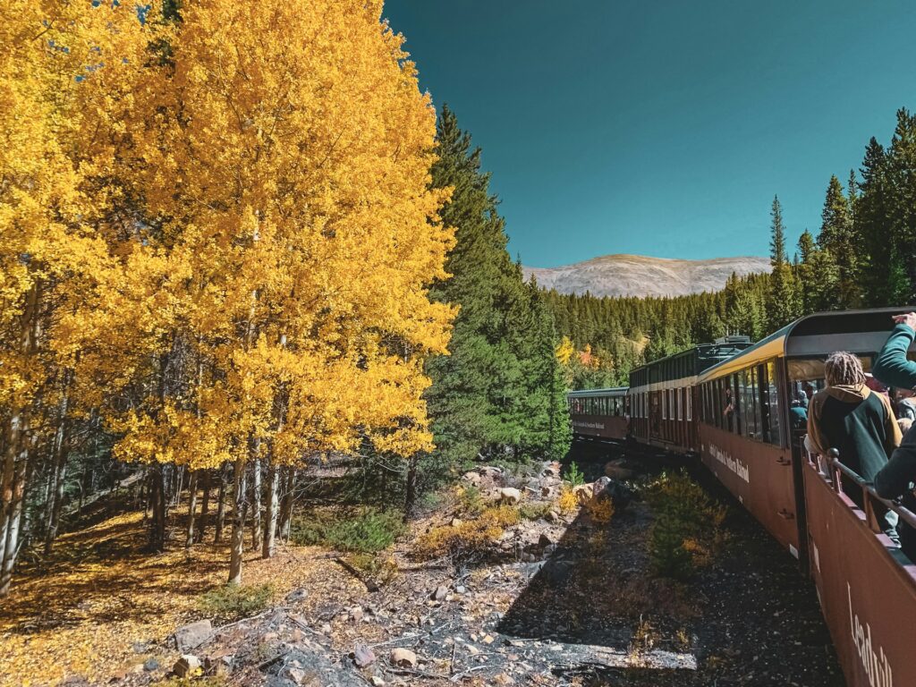 A train passing by golden aspen trees in full autumn color, with passengers looking out over a scenic forest and mountain landscape.