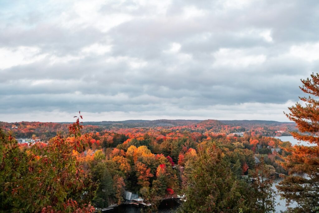 A panoramic view of a lake and town nestled among vibrant fall trees with red, orange, and yellow leaves under a cloudy sky.