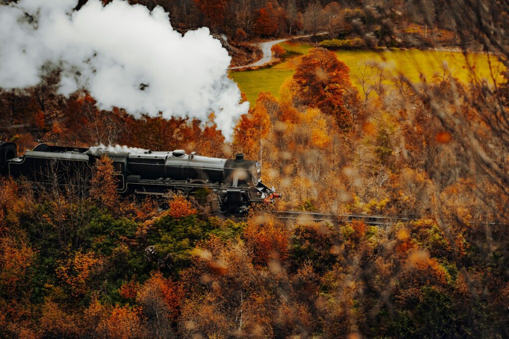 A black steam train passing through colorful fall foliage with smoke billowing, surrounded by vibrant autumn trees.