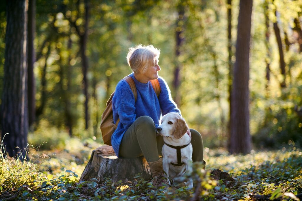 Elderly woman in blue sweater and green pants sitting on a stump, petting a beagle in a sunlit forest.