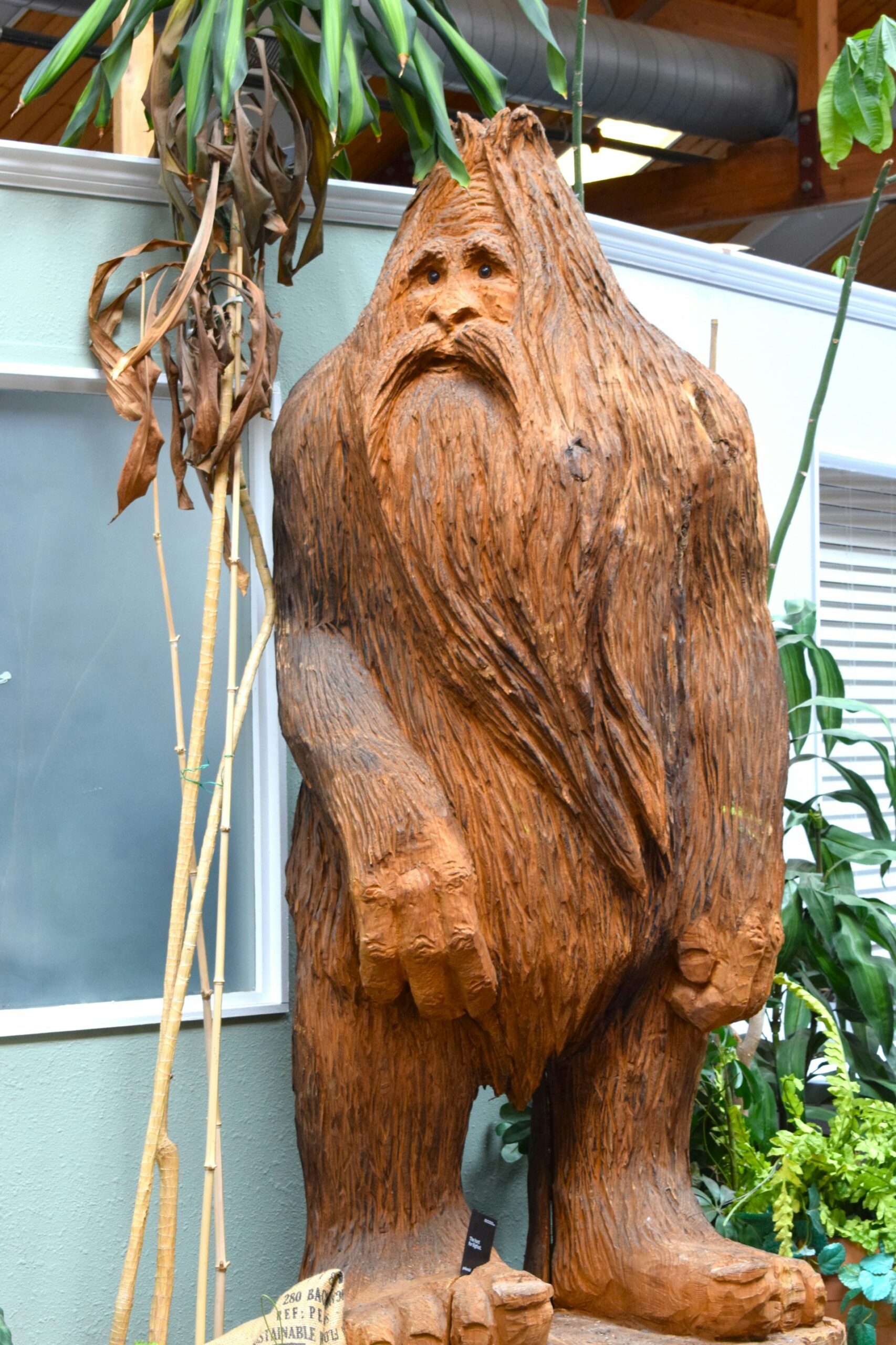 A large wooden carving of Bigfoot in a lush indoor setting, surrounded by tropical plants and greenery.