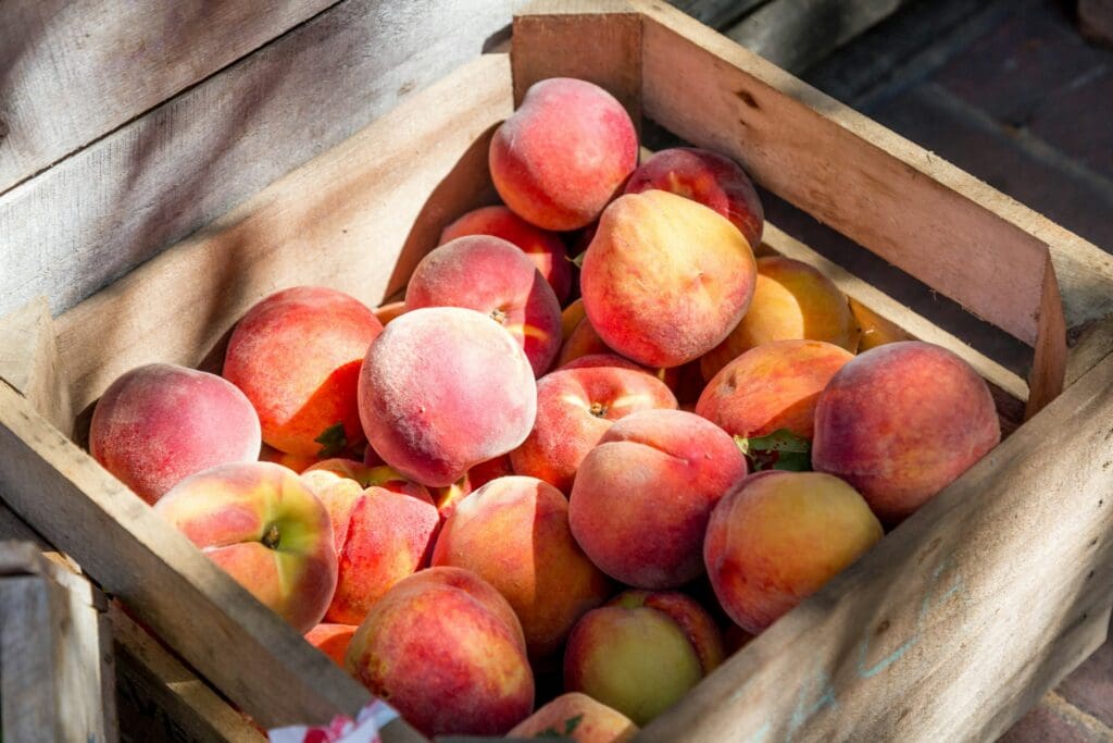 A wooden crate filled with ripe, fuzzy peaches under natural light, emphasizing their vibrant colors and fresh appeal.