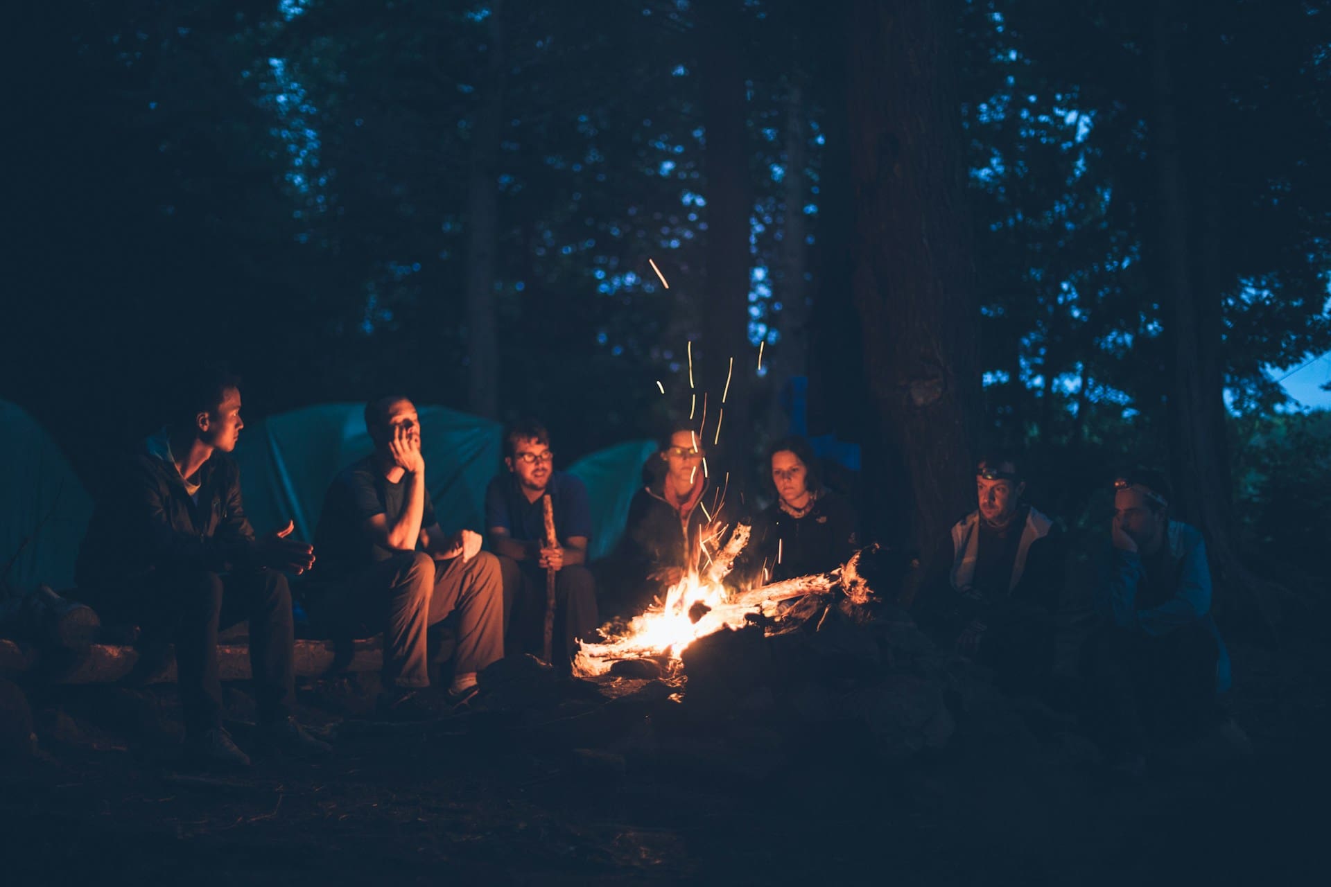 A group of campers seated in a circle around a crackling campfire at night, with tents and tall pine trees visible in the background.